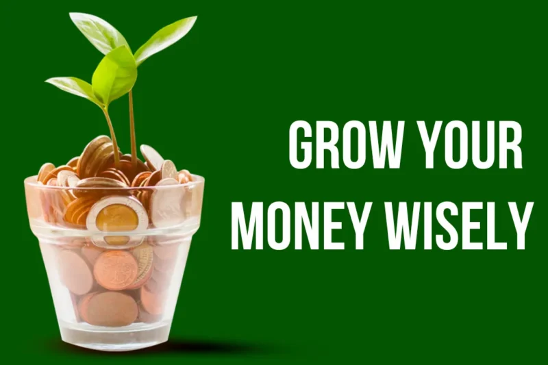 Grow Your Money Wisely: A Guide to Different Investment Options in India