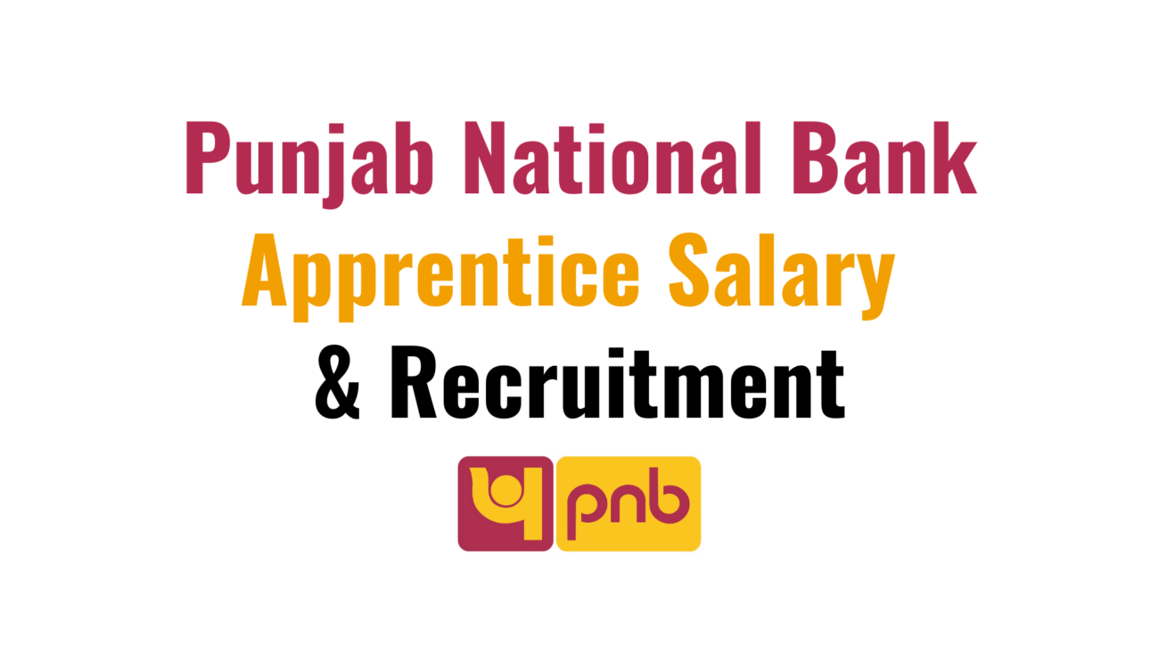 PNB Apprentice Recruitment 2024