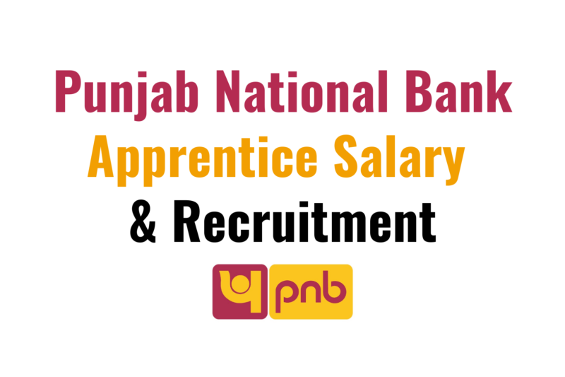 PNB Apprentice Recruitment 2024: A Golden Opportunity for Aspiring Freshers