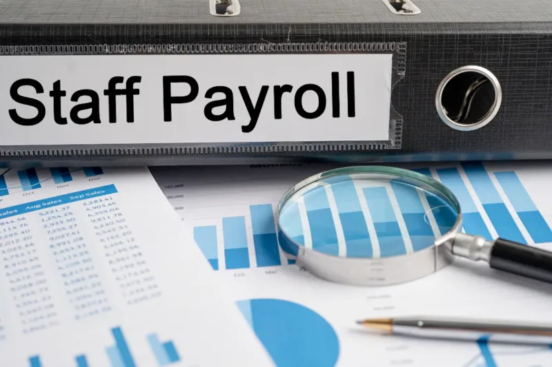 Top 10 Best Payroll Software in India – Compare & Choose